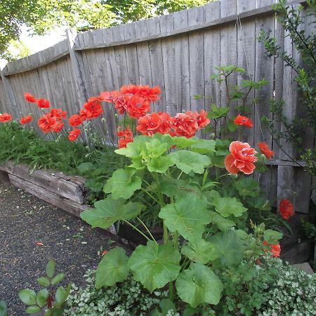 Bailey House Bed And Breakfast Annapolis Royal Esterno foto