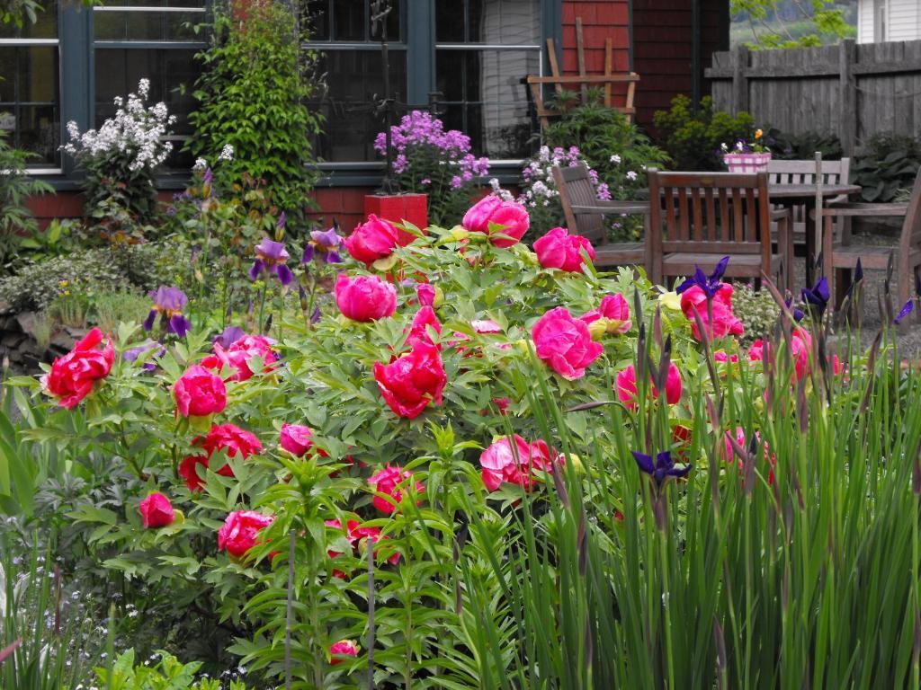 Bailey House Bed And Breakfast Annapolis Royal Camera foto