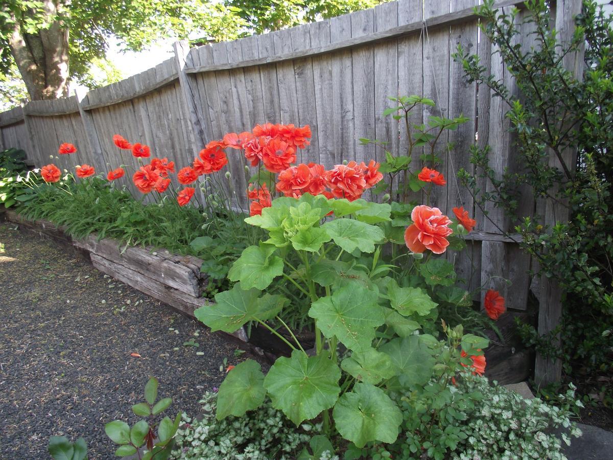 Bailey House Bed And Breakfast Annapolis Royal Esterno foto